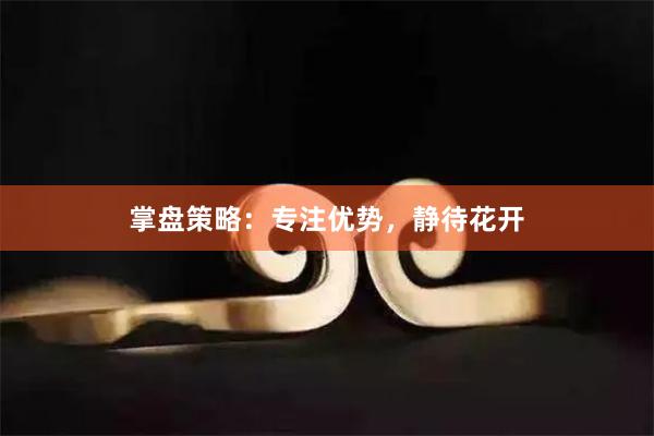 掌盘策略：专注优势，静待花开