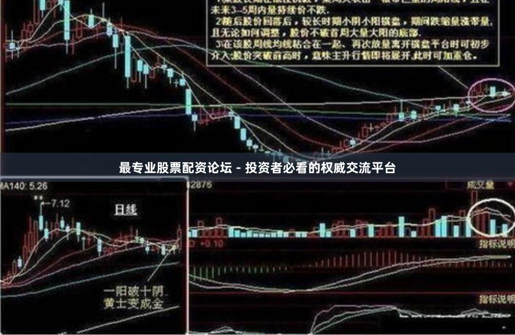 最专业股票配资论坛 - 投资者必看的权威交流平台